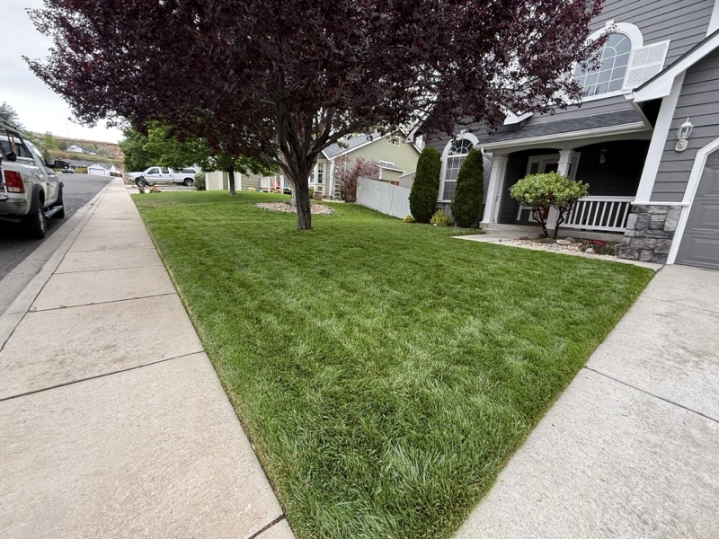 Fall fertilization treatment being applied to a Spanish Springs lawn