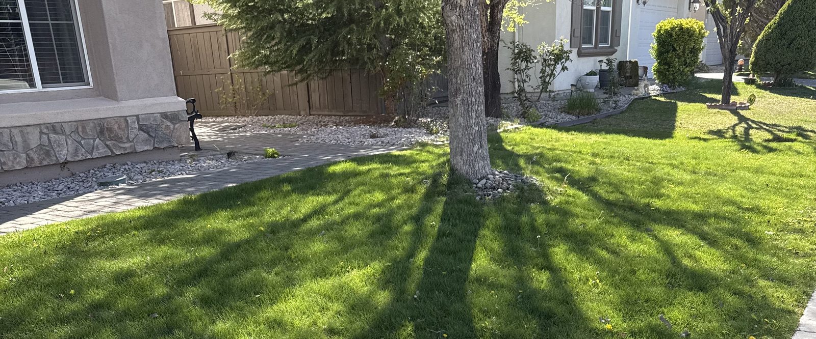 Healthy green lawn maintained by Spanish Springs Lawn Care