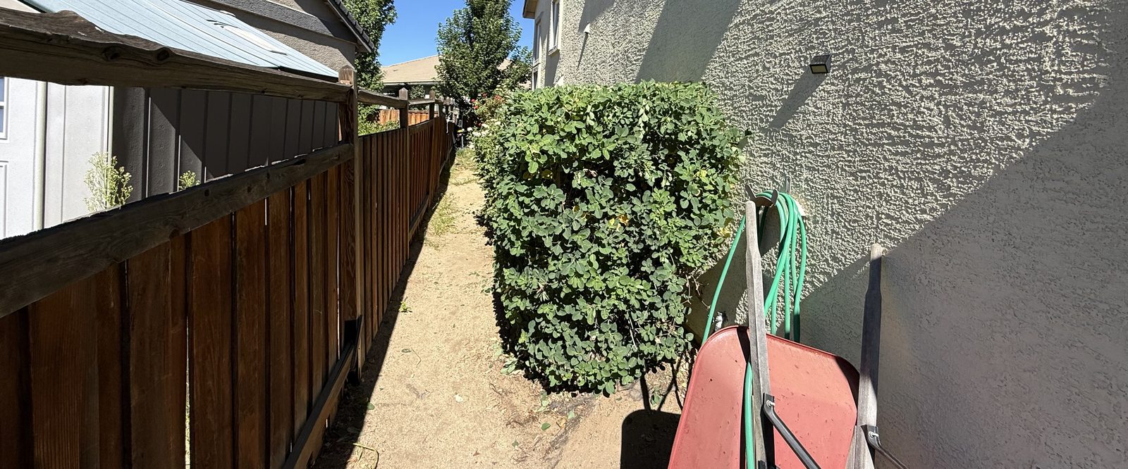 Neatly trimmed hedge line maintained by Spanish Springs Lawn Care