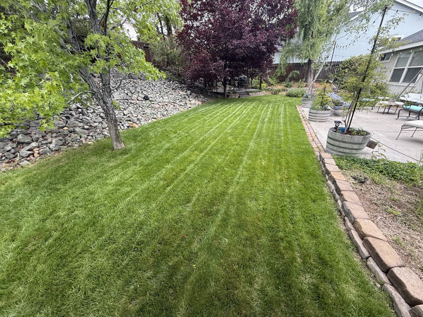 A healthy, freshly manicured lawn maintained by Spanish Springs Lawn Care