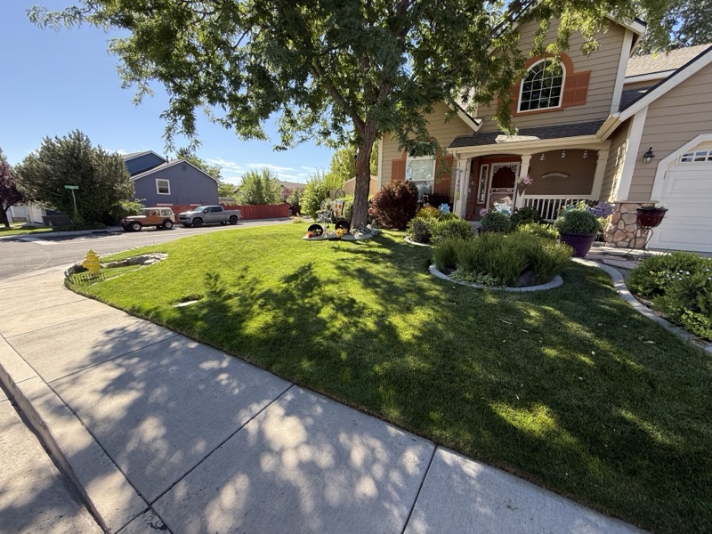 Healthy mowed lawn maintained by Spanish Springs Lawn Care