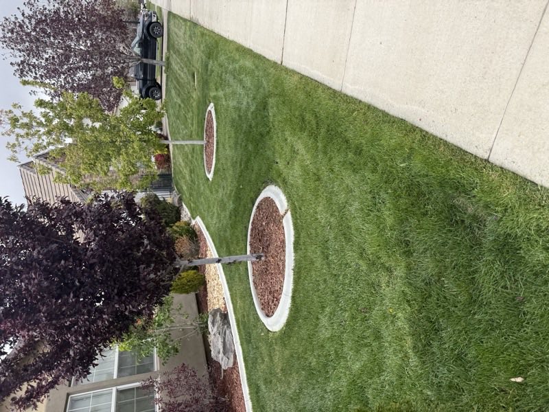 Well-kept Spanish Springs lawn maintained under a monthly lawn care plan
