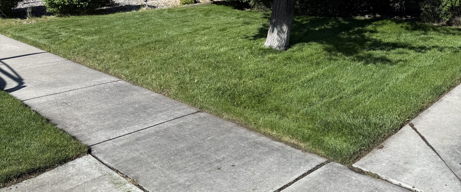 Freshly mowed lawn with clean edges maintained by Spanish Springs Lawn Care