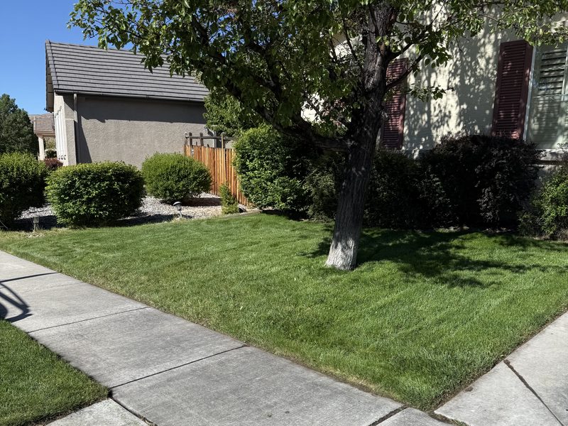 Freshly mowed lawn with clean edges maintained by Spanish Springs Lawn Care