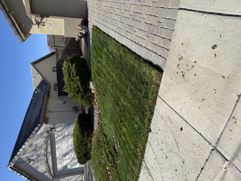 Healthy lawn maintained under an ongoing fertilization plan in Spanish Springs