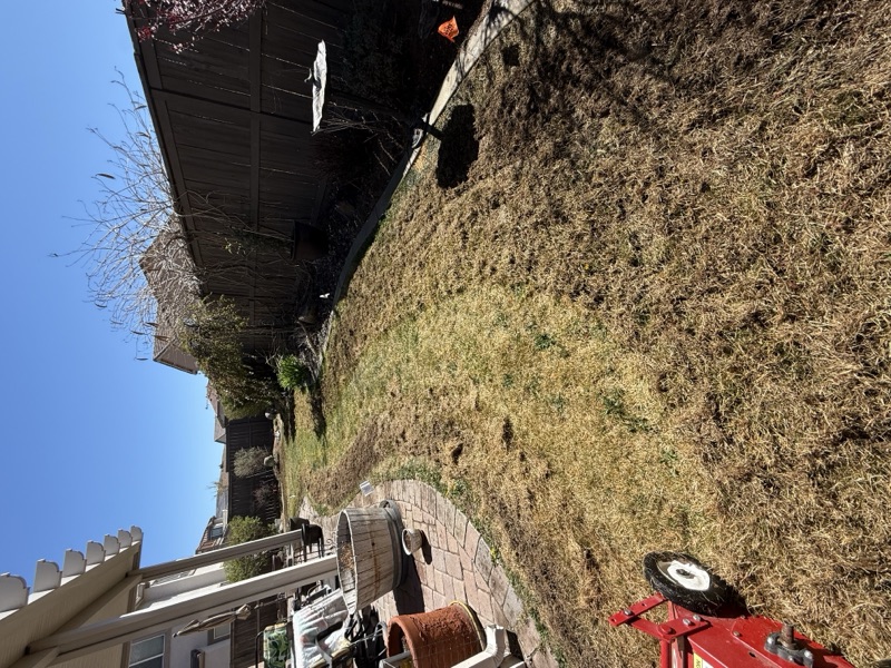 Lawn undergoing a seasonal renovation with fertilization and aeration in Spanish Springs